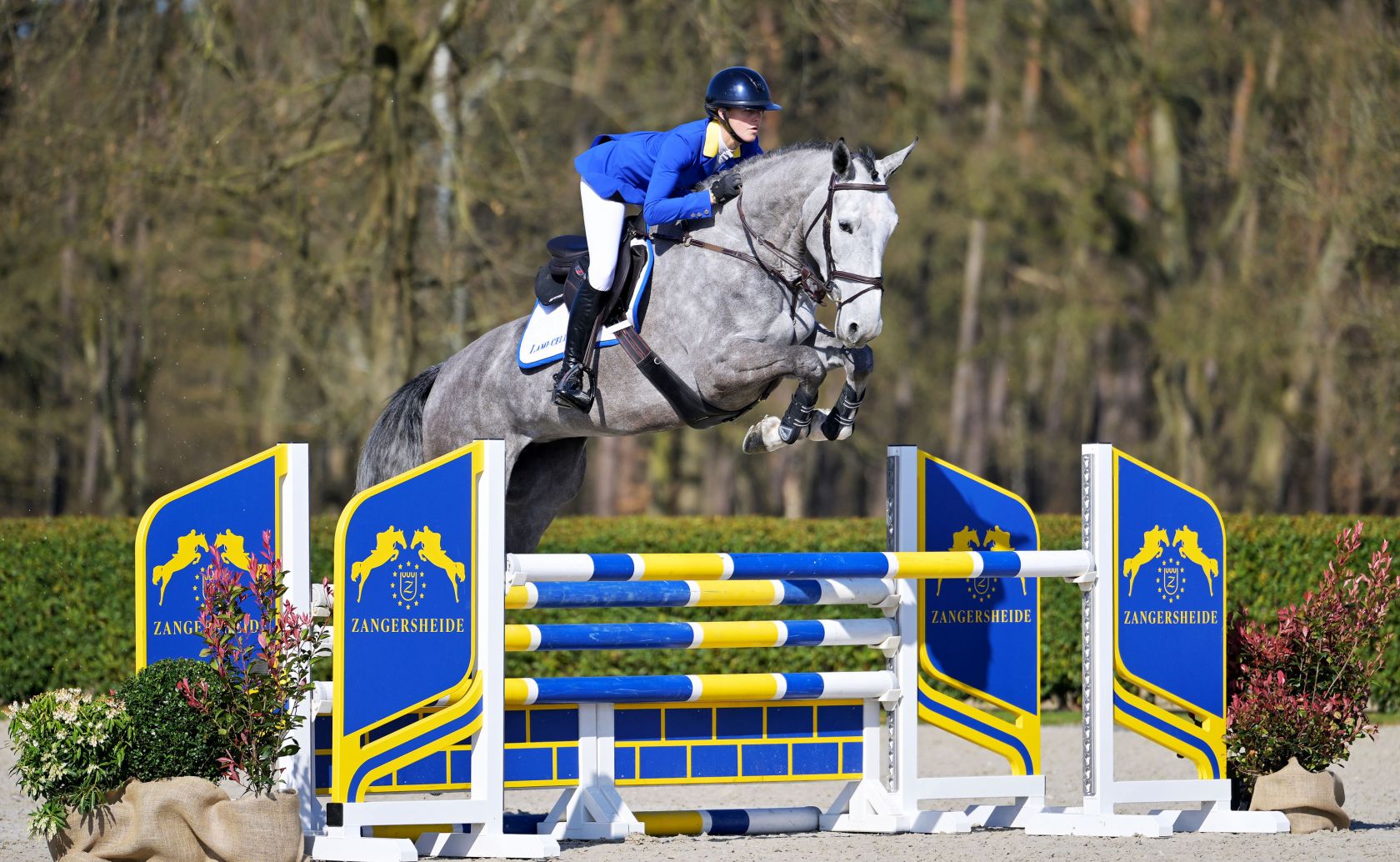 【m】 Amazon.com: LIUJJYH Motorcycle Front Fork Turn Signals LED